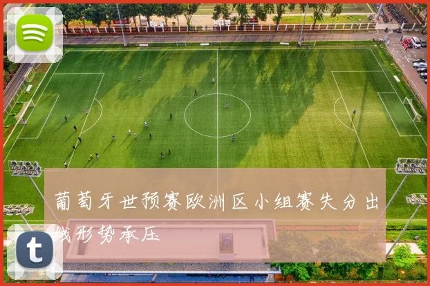 葡萄牙世预赛欧洲区小组赛失分出线形势承压