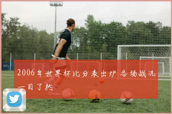 2006年世界杯比分表出炉 各场战况一目了然