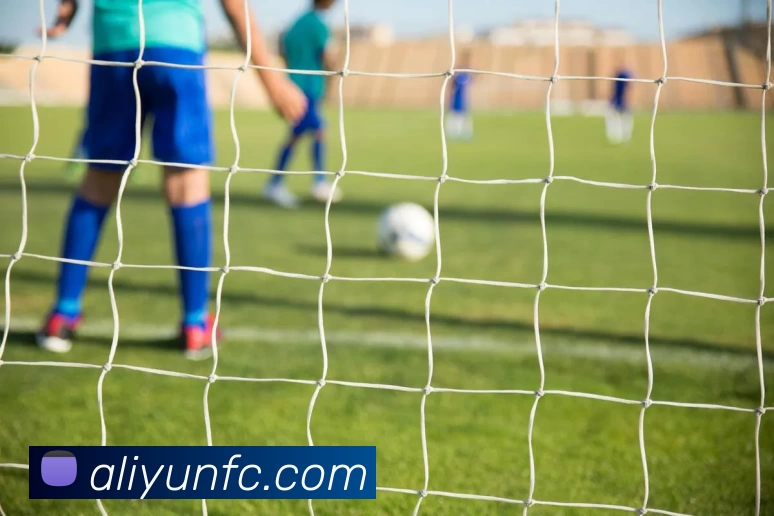 数据防护可视化